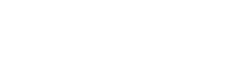 Wireless LAN logo