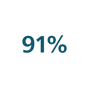 91 percent icon