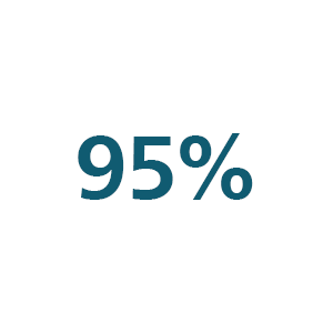 95 Percent Icon