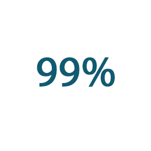 99% icon