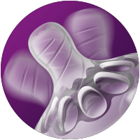 T&eacute;tine naturelle spiral&eacute;e