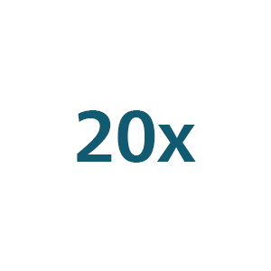 20x Icon