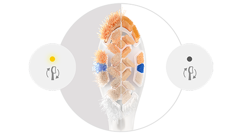 Brush head icon