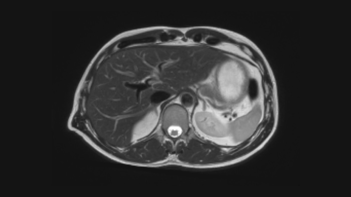 Diagnostic confidence image