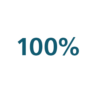 100 Percent Icon