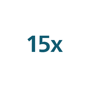 15x Icon