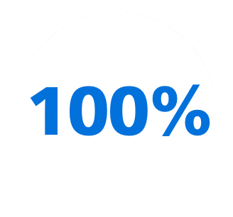 100 Percent Icon